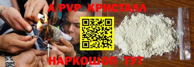 стаф Шахты