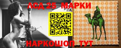стаф Шахты